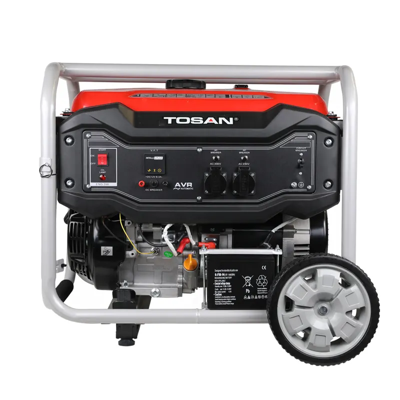 GASOLINE GENERATOR 6500GW MODEL 1165 G