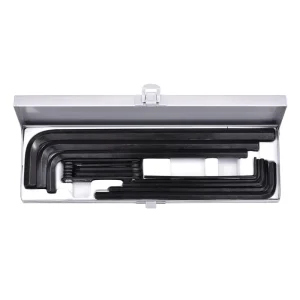 HEX KEY SET IN METAL BOX