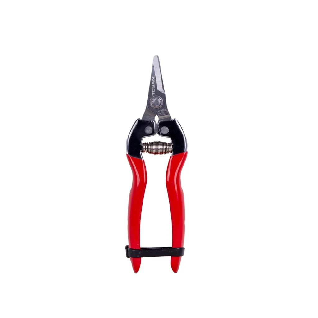 FRUIT SCISSORS WITH A SHORT SLANTED HEAD