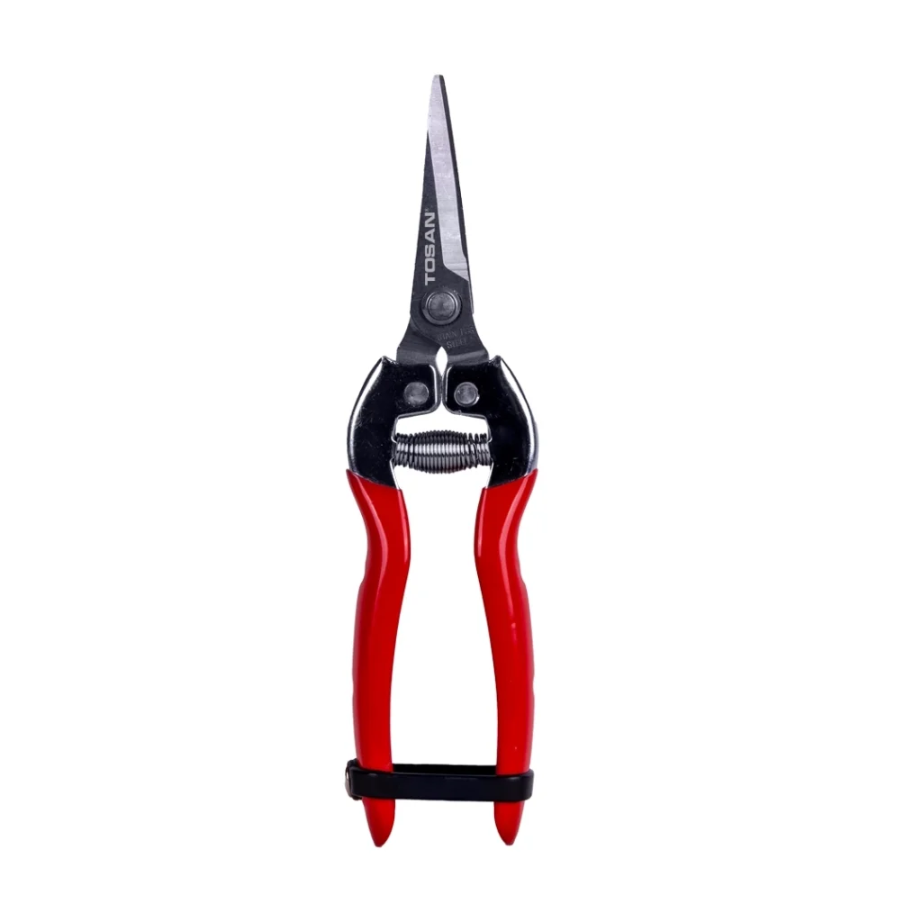 FRUIT SCISSORS WITH A LONG SLANTED HEAD